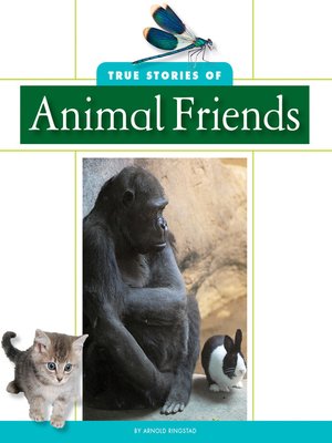 cover image of True Stories of Animal Friends